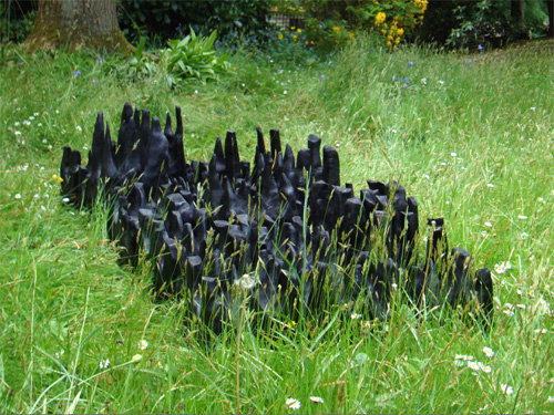 Close-up, Burnt Poplar