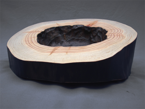 Slant Bowl, Burnt Japanese Larch, 15cm x 32cm