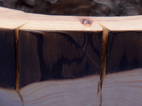 Cracked Bowl Close-up , Burnt Japanese Larch